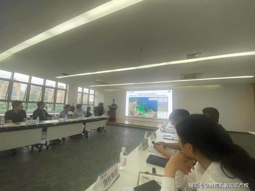 讓科技服務(wù)成為科技創(chuàng)新的助燃劑——信息技術(shù)咨詢(xún)服務(wù)的價(jià)值與路徑